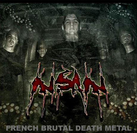 INSAIN Interview - Brutal death metal from France!