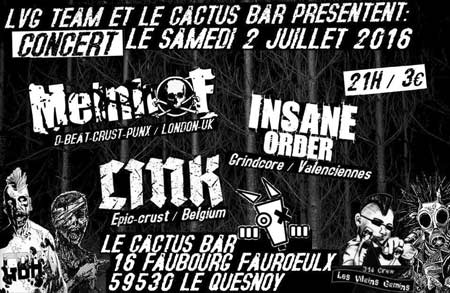 INSANE ORDER Interview - Grindcore du nord