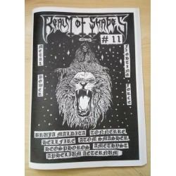 REALM OF SHADES Zine (Ger)...