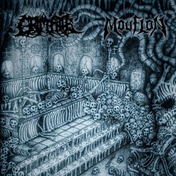 MOUFLON (Hol)/ GRIM FATE (Hol)...